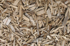 biomass boilers Clovenstone